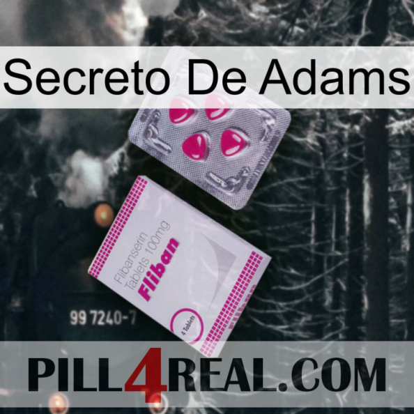 Adams Secret 32.jpg